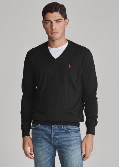 Men's Polo Ralph Lauren Cotton V-Neck Sweater | 463810ZBW